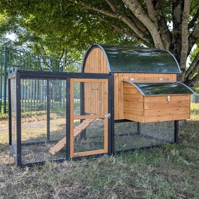 Parc Grillagé Pour Poulailler Finlandais 7 Parc Grillagé Pour Poulailler Finlandais – Image 5