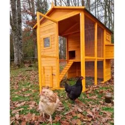 Poulailler Gaulois II Toit Shingle 6 à 10 Poules 20 Poulailler Gaulois II Toit Shingle 6 à 10 Poules -Poulailler Série Magasin poulailler gaulois ii 4 a 6 poules avec poules avant ouvert