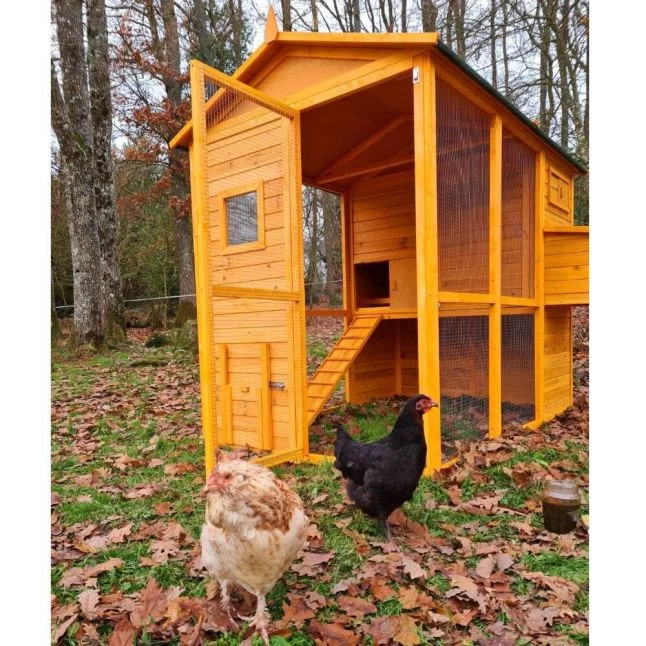 Poulailler Gaulois II Toit Shingle 6 à 10 Poules 8 Poulailler Gaulois II Toit Shingle 6 à 10 Poules – Image 6