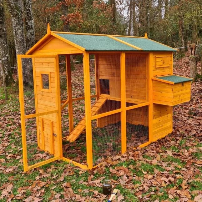 Poulailler Gaulois II Toit Shingle 6 à 10 Poules Avec Extension Parc Grillagé 10 Poulailler Gaulois II Toit Shingle 6 à 10 Poules Avec Extension Parc Grillagé – Image 8
