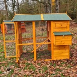 Poulailler Gaulois II Toit Shingle 6 à 10 Poules Avec Extension Parc Grillagé 20 Poulailler Gaulois II Toit Shingle 6 à 10 Poules Avec Extension Parc Grillagé -Poulailler Série Magasin poulailler gaulois ii 4 a 6 poules cote porte ouverte feuilles 1