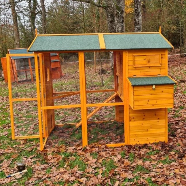 Poulailler Gaulois II Toit Shingle 6 à 10 Poules Avec Extension Parc Grillagé 9 Poulailler Gaulois II Toit Shingle 6 à 10 Poules Avec Extension Parc Grillagé – Image 7