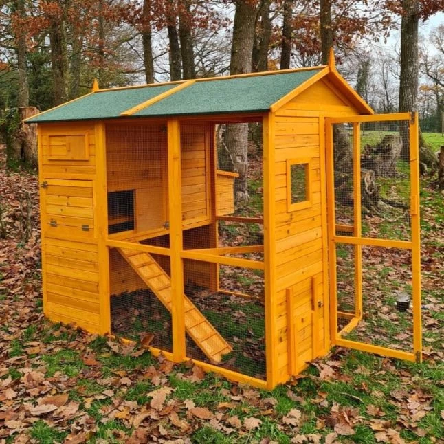 Poulailler Gaulois II Toit Shingle 6 à 10 Poules Avec Extension Parc Grillagé 8 Poulailler Gaulois II Toit Shingle 6 à 10 Poules Avec Extension Parc Grillagé – Image 6