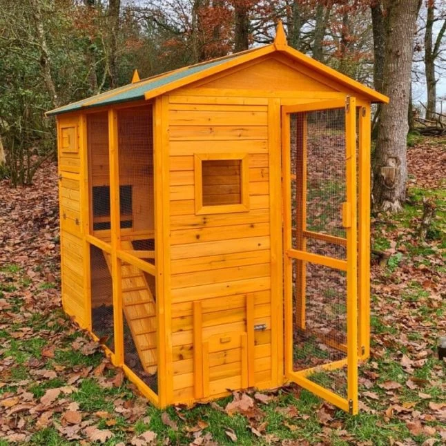 Poulailler Gaulois II Toit Shingle 6 à 10 Poules Avec Extension Parc Grillagé 7 Poulailler Gaulois II Toit Shingle 6 à 10 Poules Avec Extension Parc Grillagé – Image 5