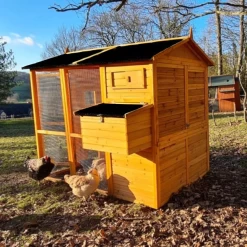 Poulailler Gaulois II Toit Shingle 6 à 10 Poules 22 Poulailler Gaulois II Toit Shingle 6 à 10 Poules -Poulailler Série Magasin poulailler gaulois ii toit shingle 4 8 poules arri re