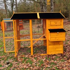 Poulailler Gaulois II Toit Shingle 6 à 10 Poules 18 Poulailler Gaulois II Toit Shingle 6 à 10 Poules -Poulailler Série Magasin poulailler gaulois ii toit shingle 4 8 poules vue c t 2