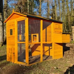 Kit Poulailler Gaulois II 6 à 10 Poules Avec Portier Zen Farm Autonome Et Trappe Taille Medium -Poulailler Série Magasin poulailler gaulois ii toit shingle 4 8 poules vue c t 3 1