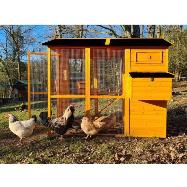 Poulailler Gaulois II Toit Shingle 6 à 10 Poules 11 Poulailler Gaulois II Toit Shingle 6 à 10 Poules – Image 9