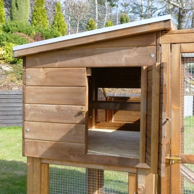 Poulailler Houdan XL Sur Pilotis Toit Shingle Noir 6 Poules Bois Epicéa 5 Poulailler Houdan XL Sur Pilotis Toit Shingle Noir 6 Poules Bois Epicéa – Image 4