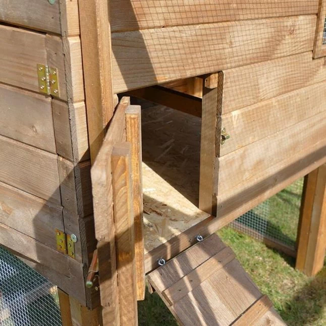 Poulailler Houdan XL Sur Pilotis Toit Shingle Noir 6 Poules Bois Epicéa 3 Poulailler Houdan XL Sur Pilotis Toit Shingle Noir 6 Poules Bois Epicéa – Image 2