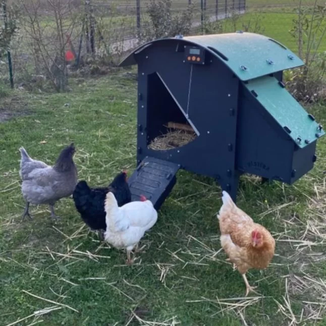 Poulailler Nestera Sur Pieds Taille S Plastique Recyclé 3 à 5 Poules Avec Portier Automatique Autonome Zen Farm 6 Poulailler Nestera Sur Pieds Taille S Plastique Recyclé 3 à 5 Poules Avec Portier Automatique Autonome Zen Farm – Image 4