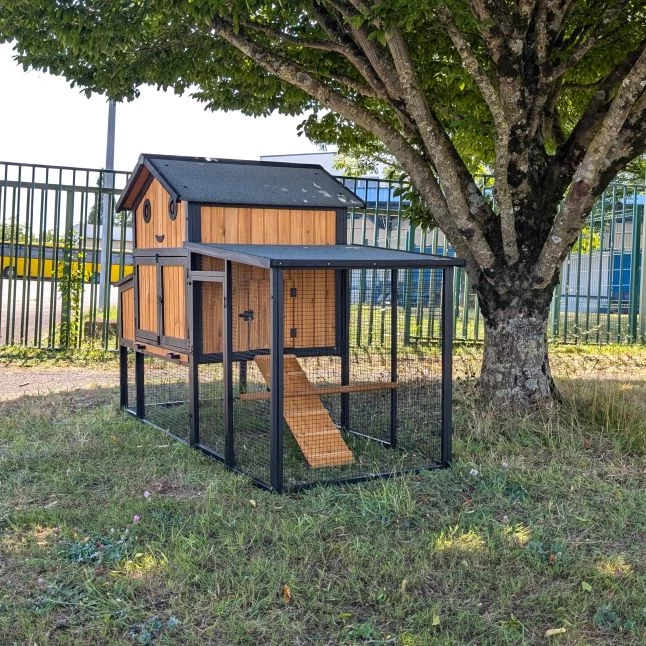 Poulailler Padoue Châssis Acier Toit Shingle 6 à 8 Poules Avec Parc Grillagé 4 Poulailler Padoue Châssis Acier Toit Shingle 6 à 8 Poules Avec Parc Grillagé – Image 2