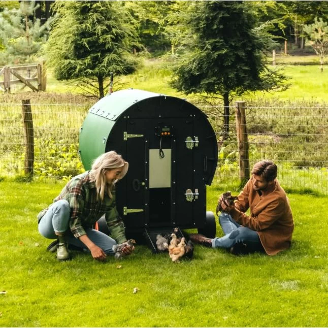 Poulailler Nestera Sur Roues Le Wagon Plastique Recyclé 8 à 15 Poules 10 Poulailler Nestera Sur Roues Le Wagon Plastique Recyclé 8 à 15 Poules – Image 8