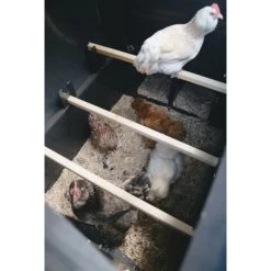 Poulailler Nestera Sur Roues Le Wagon Plastique Recyclé 8 à 15 Poules 16 Poulailler Nestera Sur Roues Le Wagon Plastique Recyclé 8 à 15 Poules -Poulailler Série Magasin poulailler plastique le wagon 8 poules nestera vue interieur