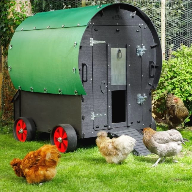 Poulailler Nestera Sur Roues Le Wagon Plastique Recyclé 8 à 15 Poules 3 Poulailler Nestera Sur Roues Le Wagon Plastique Recyclé 8 à 15 Poules