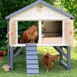 Poulailler Made In Jura Plastique 4 à 5 Poules - Smoby 12 Poulailler Made In Jura Plastique 4 à 5 Poules - Smoby -Poulailler Série Magasin poulailler plastique mij smoby face poules