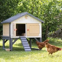 Poulailler Made In Jura Plastique 4 à 5 Poules - Smoby 14 Poulailler Made In Jura Plastique 4 à 5 Poules - Smoby -Poulailler Série Magasin poulailler plastique mij smoby face poules installe