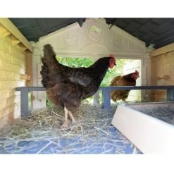 Poulailler Made In Jura Plastique 4 à 5 Poules - Smoby 13 Poulailler Made In Jura Plastique 4 à 5 Poules - Smoby -Poulailler Série Magasin poulailler plastique mij smoby interieur