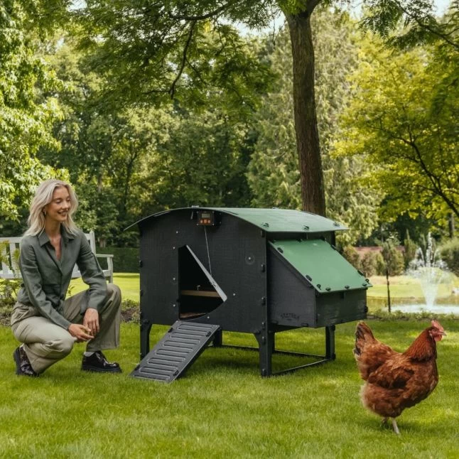 Poulailler Nestera Sur Pieds Taille L Plastique Recyclé 8 à 15 Poules 11 Poulailler Nestera Sur Pieds Taille L Plastique Recyclé 8 à 15 Poules – Image 9