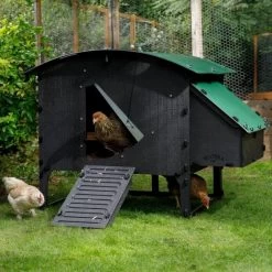 Poulailler Nestera Sur Pieds Taille L Plastique Recyclé 8 à 15 Poules 20 Poulailler Nestera Sur Pieds Taille L Plastique Recyclé 8 à 15 Poules -Poulailler Série Magasin poulailler plastique recycle nestera l avec poules