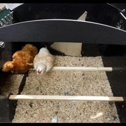 Poulailler Nestera Sur Pieds Taille L Plastique Recyclé 8 à 15 Poules 18 Poulailler Nestera Sur Pieds Taille L Plastique Recyclé 8 à 15 Poules -Poulailler Série Magasin poulailler plastique recycle nestera l interieur