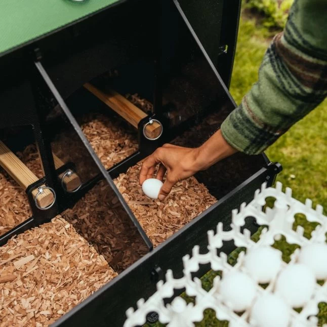 Poulailler Nestera Sur Pieds Taille L Plastique Recyclé 8 à 15 Poules 7 Poulailler Nestera Sur Pieds Taille L Plastique Recyclé 8 à 15 Poules – Image 5