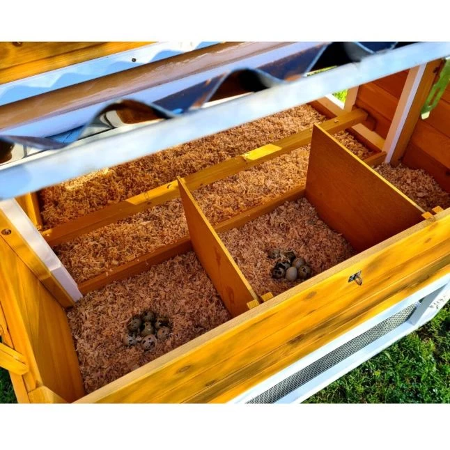 Poulailler Toit Renforcé M Toit Plastique 6 à 8 Poules 13 Poulailler Toit Renforcé M Toit Plastique 6 à 8 Poules – Image 11