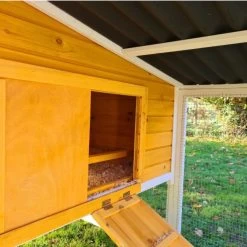 Poulailler Toit Renforcé M Toit Plastique 6 à 8 Poules 33 Poulailler Toit Renforcé M Toit Plastique 6 à 8 Poules -Poulailler Série Magasin poulailler toit renforce 6 a 8 poules entree partie nuit