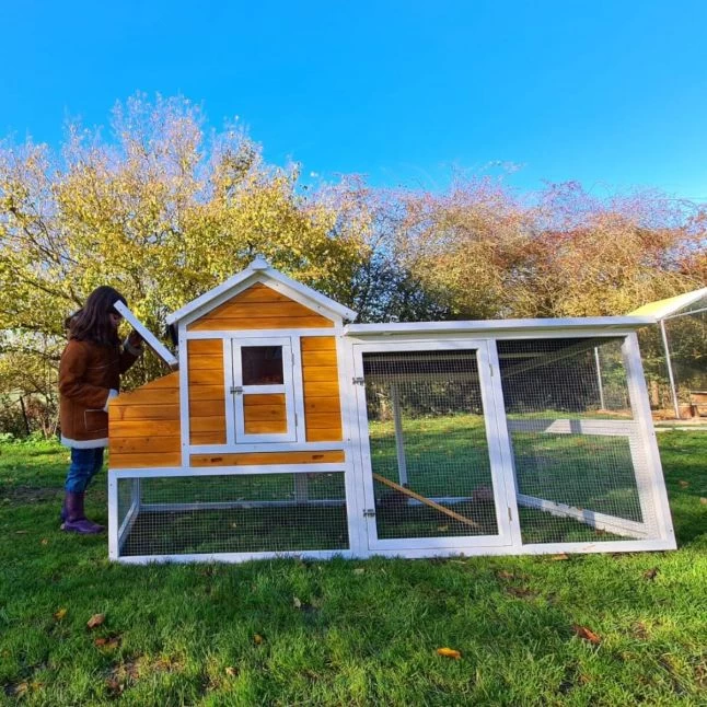 Poulailler Toit Renforcé M Toit Plastique 6 à 8 Poules 20 Poulailler Toit Renforcé M Toit Plastique 6 à 8 Poules – Image 18