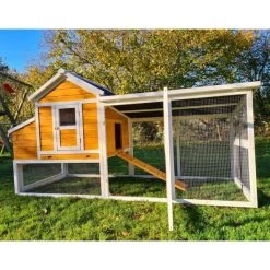 Poulailler Toit Renforcé M Toit Plastique 6 à 8 Poules 24 Poulailler Toit Renforcé M Toit Plastique 6 à 8 Poules -Poulailler Série Magasin poulailler toit renforce 6 a 8 poules vue cote porte ouverte