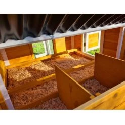 Poulailler Toit Renforcé M Toit Plastique 6 à 8 Poules 29 Poulailler Toit Renforcé M Toit Plastique 6 à 8 Poules -Poulailler Série Magasin poulailler toit renforce 6 a 8 poules vue interieur