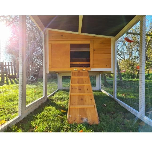 Poulailler Toit Renforcé M Toit Plastique 6 à 8 Poules 17 Poulailler Toit Renforcé M Toit Plastique 6 à 8 Poules – Image 15