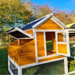 Poulailler Toit Renforcé M Toit Plastique 6 à 8 Poules 28 Poulailler Toit Renforcé M Toit Plastique 6 à 8 Poules -Poulailler Série Magasin poulailler toit renforce 6 a 8 poules vue trappe pondoir