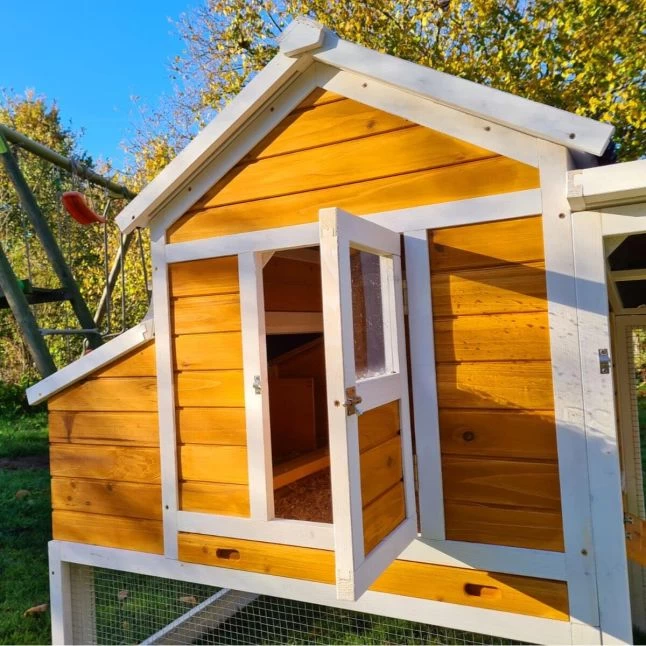 Poulailler Toit Renforcé M Toit Plastique 6 à 8 Poules 9 Poulailler Toit Renforcé M Toit Plastique 6 à 8 Poules – Image 7