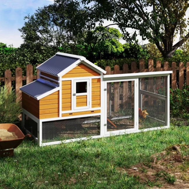 Poulailler Toit Renforcé M Toit Plastique 6 à 8 Poules 5 Poulailler Toit Renforcé M Toit Plastique 6 à 8 Poules – Image 3