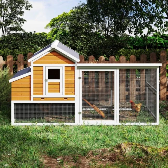 Poulailler Toit Renforcé M Toit Plastique 6 à 8 Poules 4 Poulailler Toit Renforcé M Toit Plastique 6 à 8 Poules – Image 2