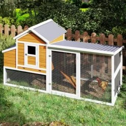 Poulailler Toit Renforcé M Toit Plastique 6 à 8 Poules