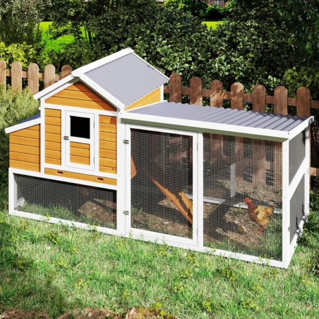 Poulailler Toit Renforcé M Toit Plastique 6 à 8 Poules 3 Poulailler Toit Renforcé M Toit Plastique 6 à 8 Poules