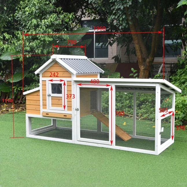 Poulailler Toit Renforcé S Toit Plastique 4 à 6 Poules 14 Poulailler Toit Renforcé S Toit Plastique 4 à 6 Poules – Image 12