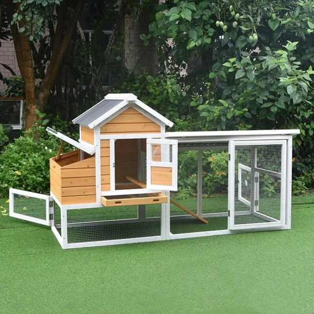 Poulailler Toit Renforcé S Toit Plastique 4 à 6 Poules 4 Poulailler Toit Renforcé S Toit Plastique 4 à 6 Poules – Image 2