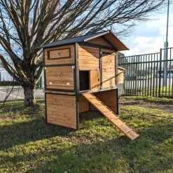 Poulailler Vorwerk Toit Shingle 10 à 12 Poules -Poulailler Série Magasin poulailler vorwerck vue c t