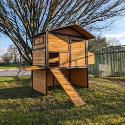 Poulailler Vorwerk Toit Shingle 10 à 12 Poules -Poulailler Série Magasin poulailler vorwerck vue tout ouvert