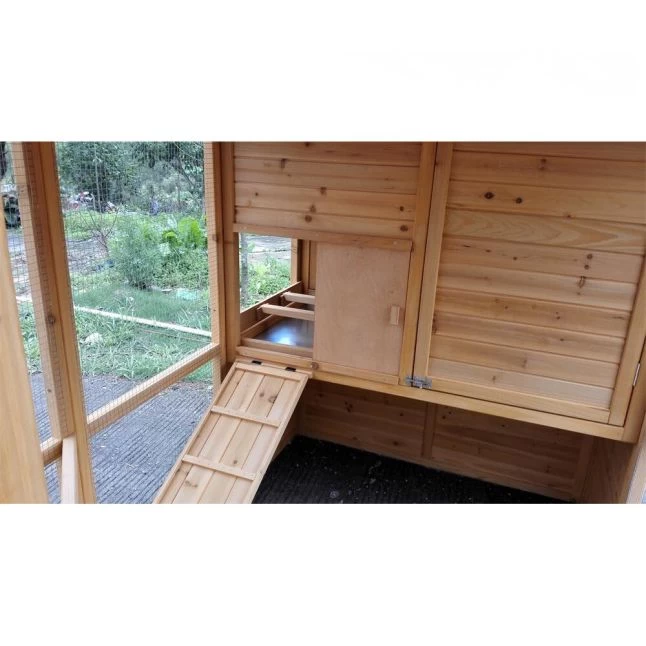 Poulailler Gaulois II Toit Shingle 6 à 10 Poules Avec Extension Parc Grillagé 14 Poulailler Gaulois II Toit Shingle 6 à 10 Poules Avec Extension Parc Grillagé – Image 12