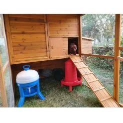 Poulailler Gournay Toit Shingle 10 à 12 Poules 18 Poulailler Gournay Toit Shingle 10 à 12 Poules -Poulailler Série Magasin poulailler gournay 10 a 12 poules toit shingle vue interieur