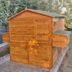 Poulailler Gournay Toit Shingle 10 à 12 Poules 25 Poulailler Gournay Toit Shingle 10 à 12 Poules -Poulailler Série Magasin poulailler gournay 10 a 12 poules vue arriere