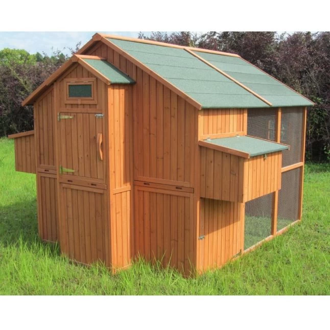 Poulailler Marans Toit Shingle 15 à 18 Poules 6 Poulailler Marans Toit Shingle 15 à 18 Poules – Image 4