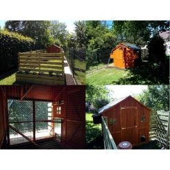 Poulailler Marans Toit Shingle 15 à 18 Poules 23 Poulailler Marans Toit Shingle 15 à 18 Poules -Poulailler Série Magasin poulailler marans vue multiple