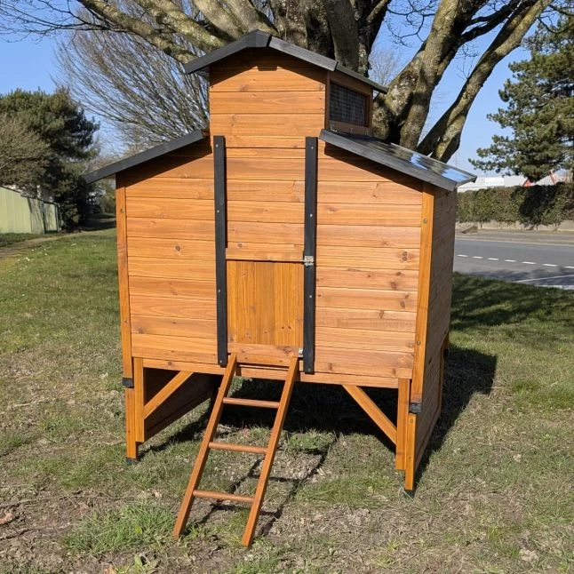 Poulailler Farmer L Toit Tôle Ouvrant 4 à 6 Poules Bois FSC Avec Rehausse 5 Poulailler Farmer L Toit Tôle Ouvrant 4 à 6 Poules Bois FSC Avec Rehausse – Image 3