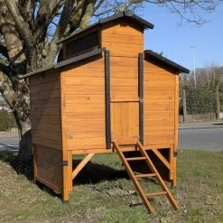 Poulailler Farmer XL Toit Tôle Ouvrant 6 à 10 Poules Bois FSC Avec Rehausse 13 Poulailler Farmer XL Toit Tôle Ouvrant 6 à 10 Poules Bois FSC Avec Rehausse -Poulailler Série Magasin poulialler farmer avec rehausse entree fermee 1