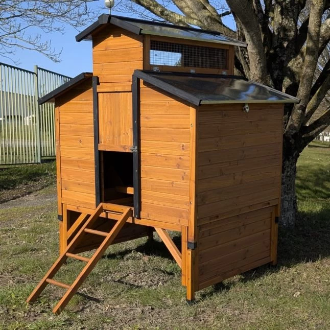 Poulailler Farmer XL Toit Tôle Ouvrant 6 à 10 Poules Bois FSC Avec Rehausse 4 Poulailler Farmer XL Toit Tôle Ouvrant 6 à 10 Poules Bois FSC Avec Rehausse – Image 2